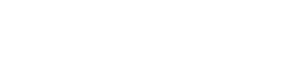 ORF 2